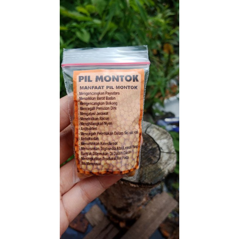 Pil Montok Rahasia Keharmonisan Dayak Banjar Jamu Montok wanita isi 100 butir