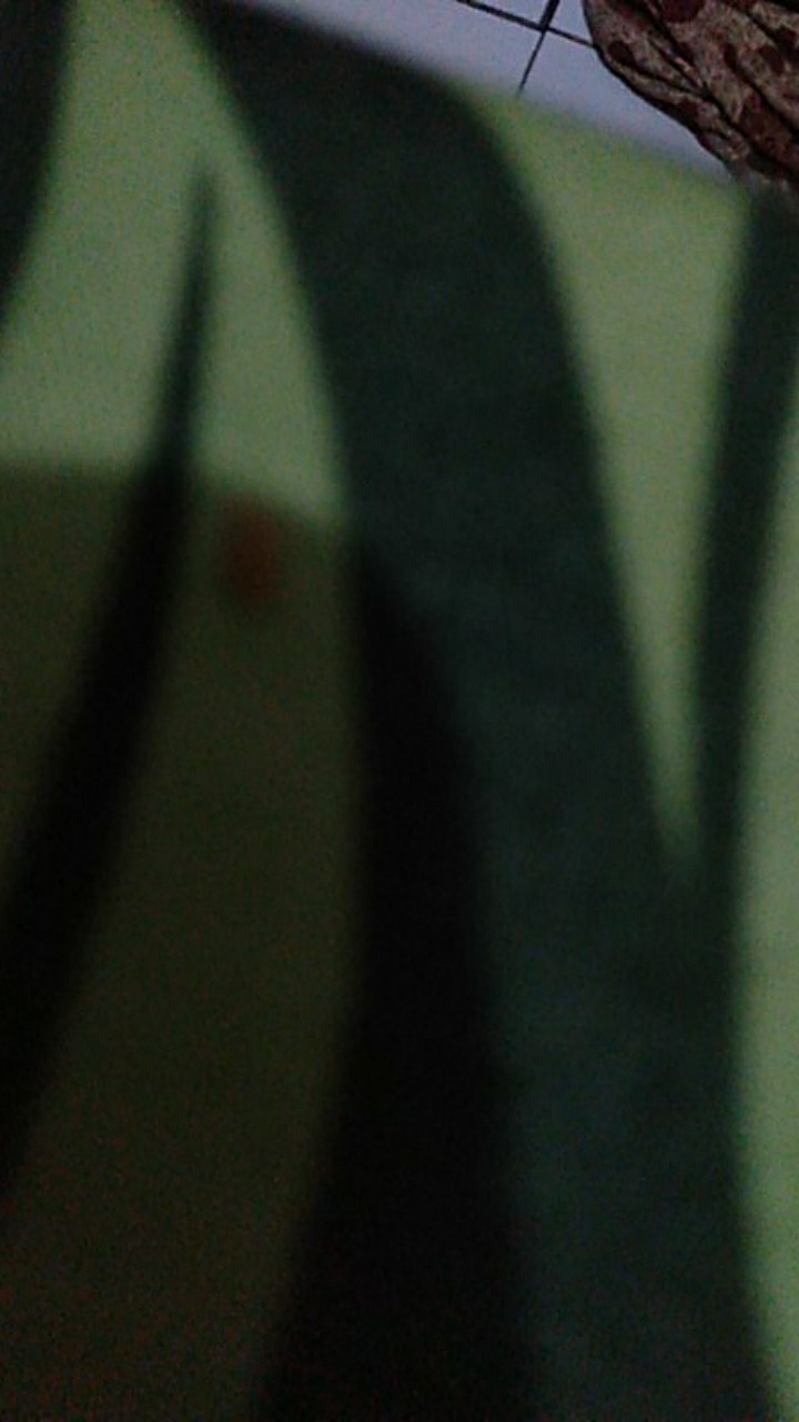 Skrup Baja Ringan 10x16 Roofing Putih Wilson (isi 100pcs)