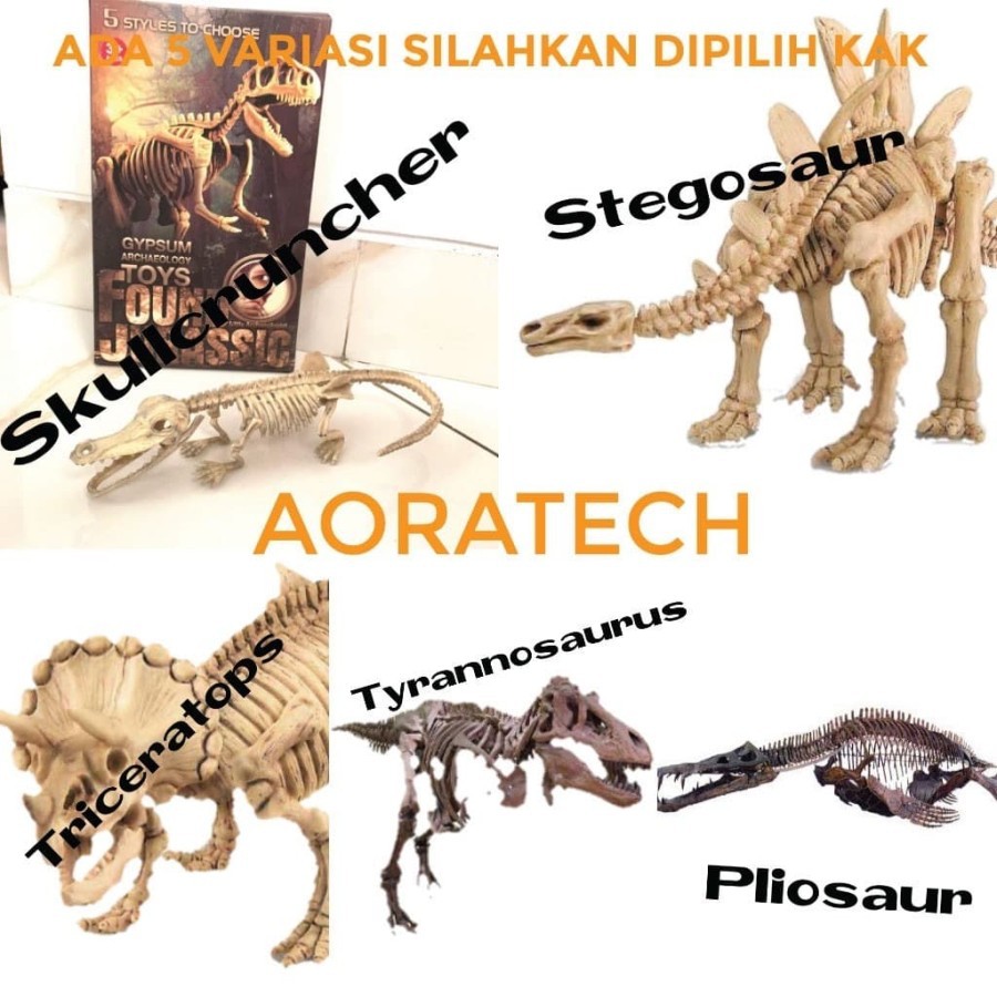 Mainan Edukasi Anak Dinosaur Fossil | Edukasi Arkeologi Dino Fosil | Gypsum Archaeology Toys