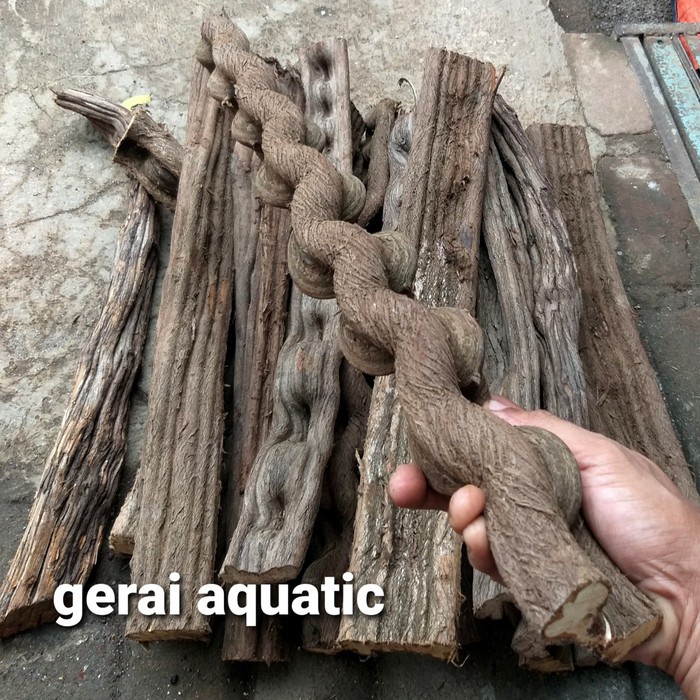 akar kayu frankenstein uk L hardscape aquascape reptil burung aquarium