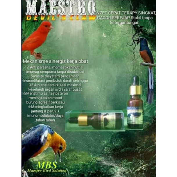 obat burung , obat penggacor burung MAESTRO DC ( Devil's claw)   garansi original