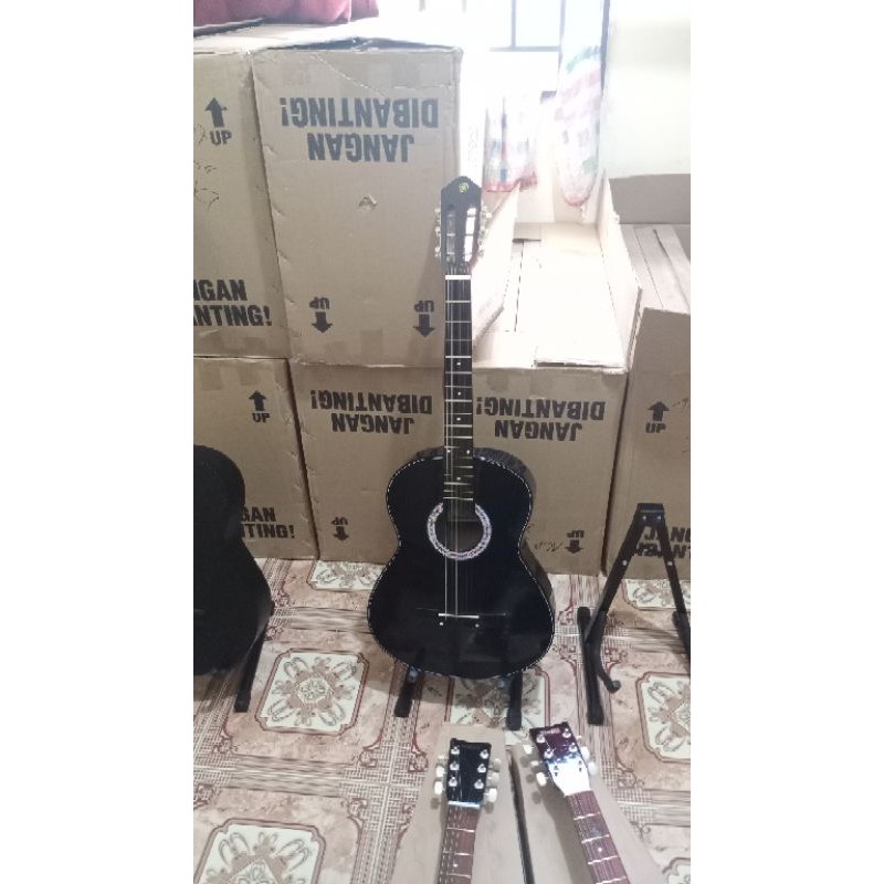 gitar akustik pemula