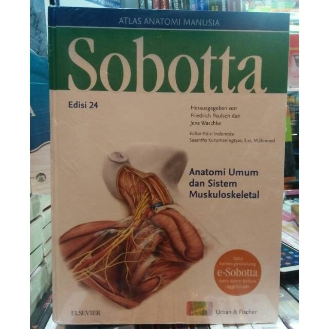 SOBOTTA ( atlas anatomi manusia)