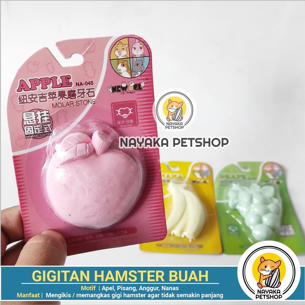 Gigitan Hamster Motif Buah Gnawing Stone Batu Mineral Asah Gigi Hamster Dental Care