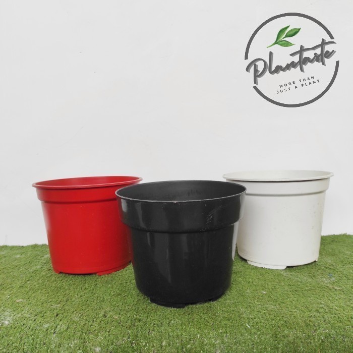 Aneka Pot Plastik | Diameter 20cm | Pot Tanaman Hias Daun Bunga Buah - Yogap Putih