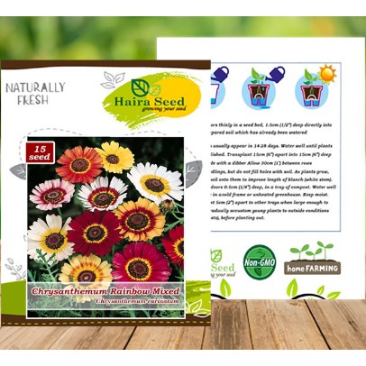 Benih-Bibit Bunga Krisan Rainbow Mix (Haira Seed)