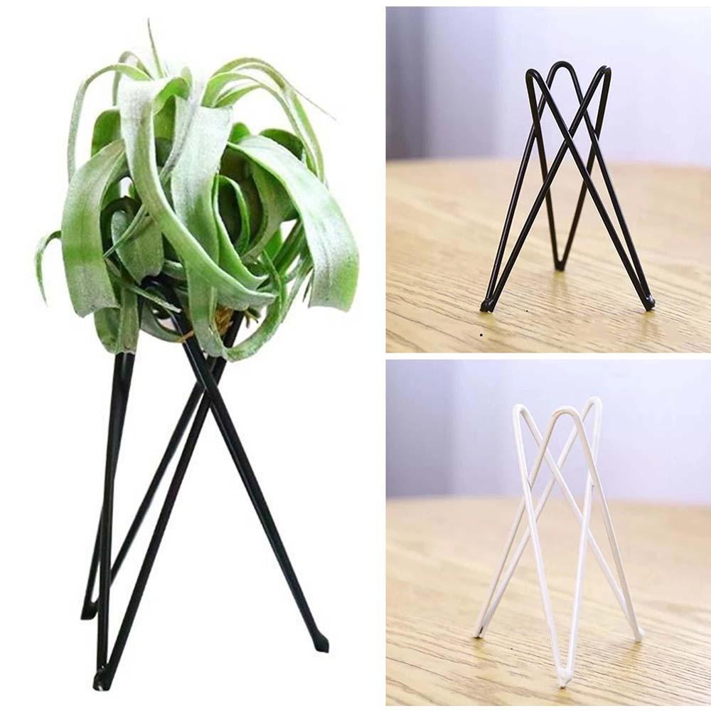 REBUY Air Plant Holder Iron Nordic Style Tabletop Ornament Rak Taman Pot Bunga Berdiri Tillandsia Stand