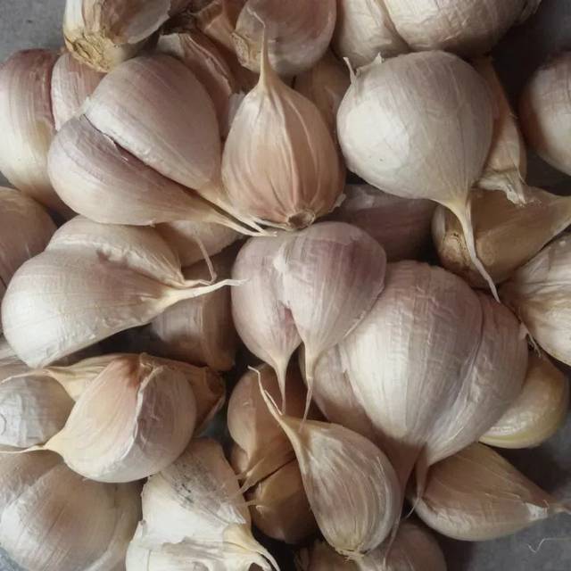

Bawang Putih Kating 250gr lebih wangi , Garlic