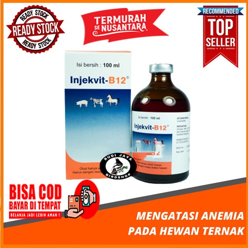 INJEKVIT-B12 MEDION INJEKSI VITAMIN B12 HEWAN SAPI KAMBING BABI KUCING KELINCI TAMBAH NAFSU MAKAN