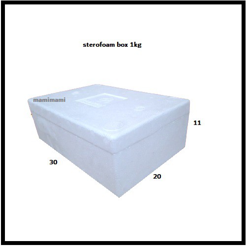 Sterofoam box 1kg gabus sterofom 1 kg wadah frozen food styrofoam buah sayur