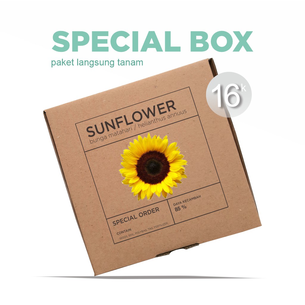 Paket Langsung Tanam - Gardening Kit - SPECIAL BOX - Benih Sunflower / Bunga Matahari Seeds