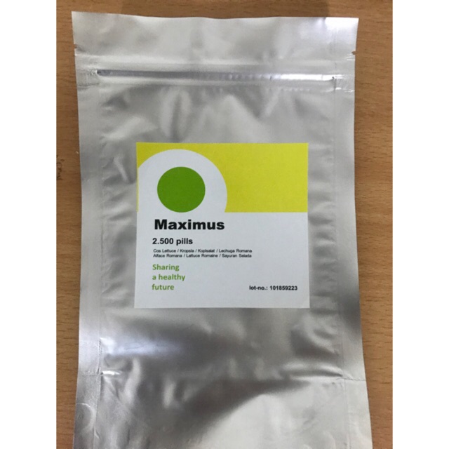 2500 seed - Benih Romaine RZ Maximus Rijk Zwaan