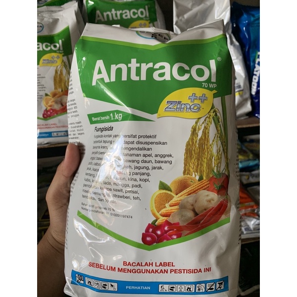 antracol 1kg