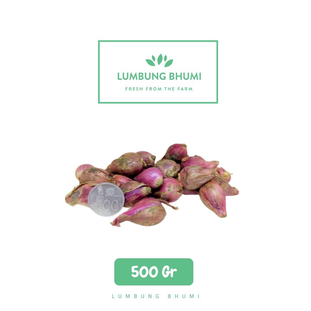 

Bawang Merah LOKAL CAMPUR Sayur 500 Gr - Lumbung Bhumi