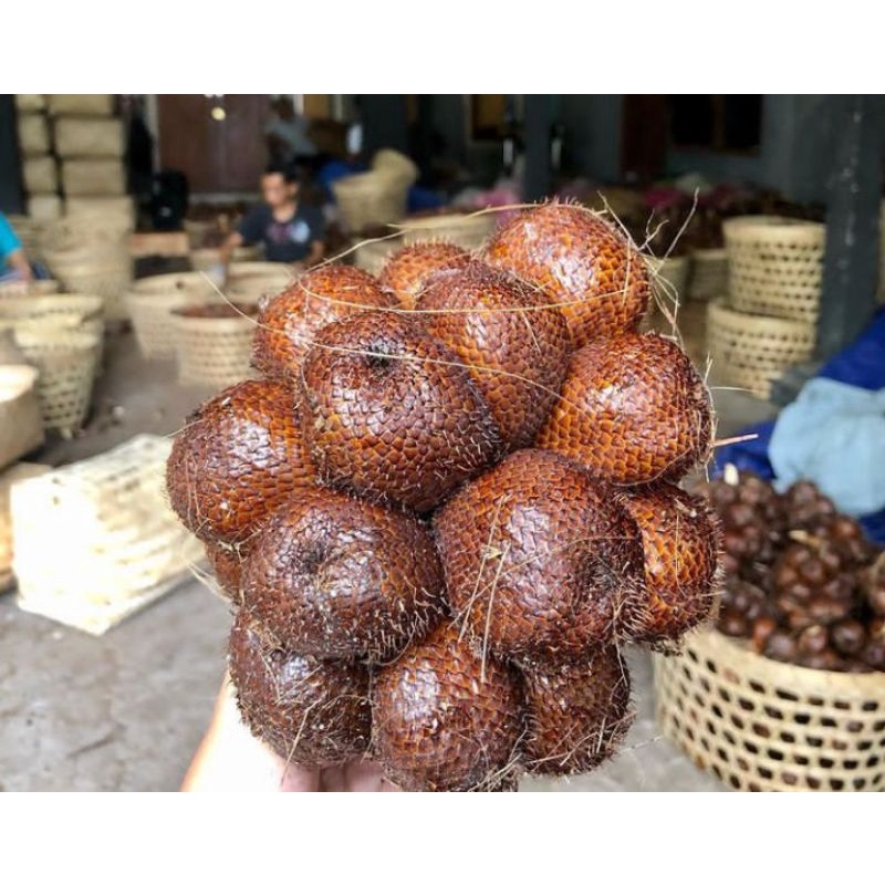 

SALAK PONDOH SLEMAN - 1 KG