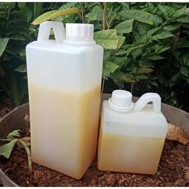 

Madu Kaliandra 1kg