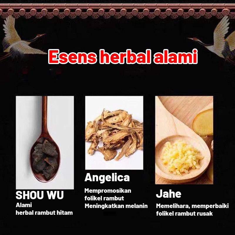 Pertumbuhan rambut Kondisioner fo-ti/Merawat rambut Serum Memperbaiki folikel rambut Cepat menumbuhkan rambut/Cairan jahe penumbuh rambut Rambut putih cepat menghitam Anti rambut rontok pria dan wanita