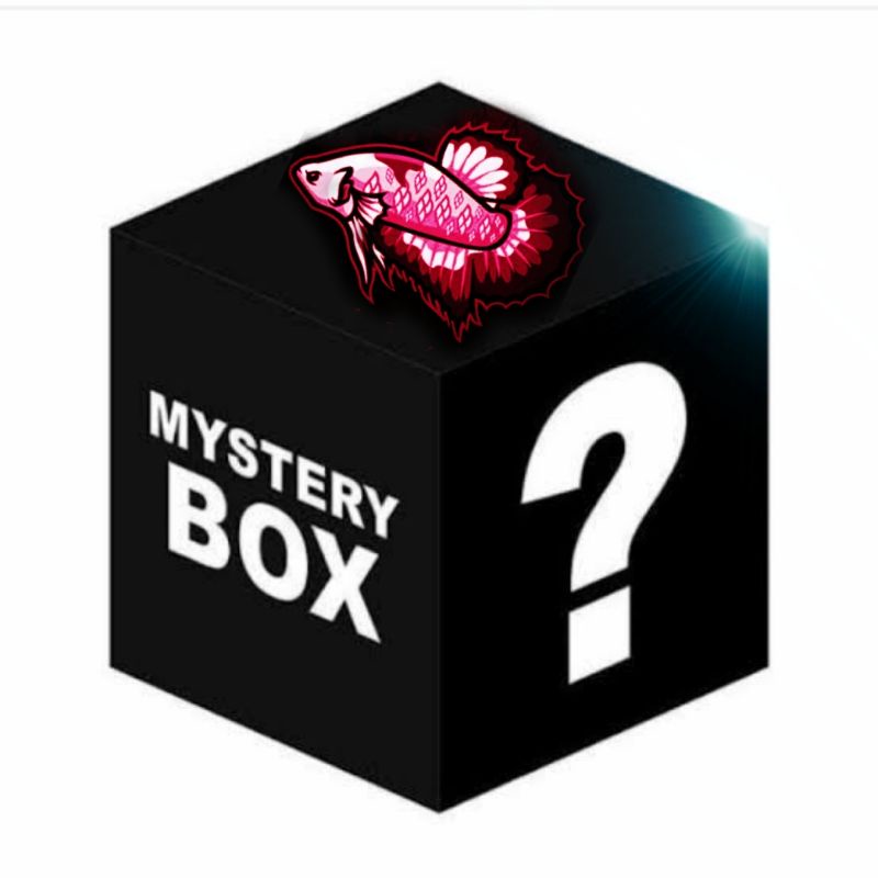 Misteri Box Ikan Cupang (Blue Rim, Nemo, Multicolor, Avatar)