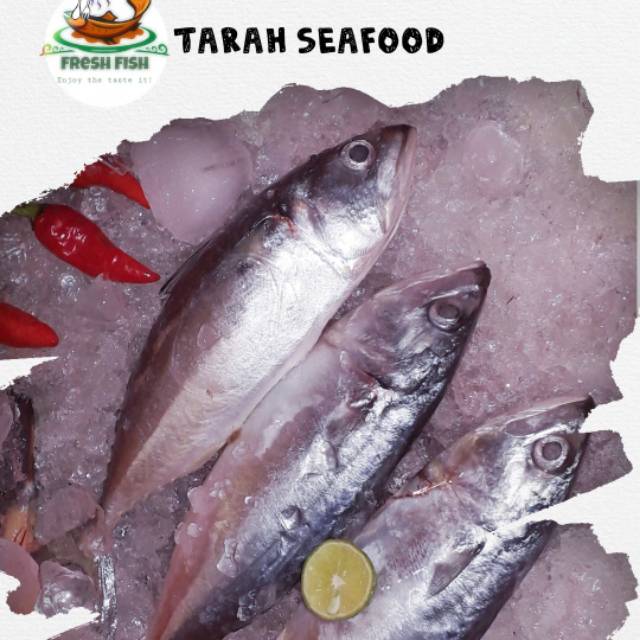 

TERBATASSS!!! Ikan kembung banjar fresh / harga 1KG