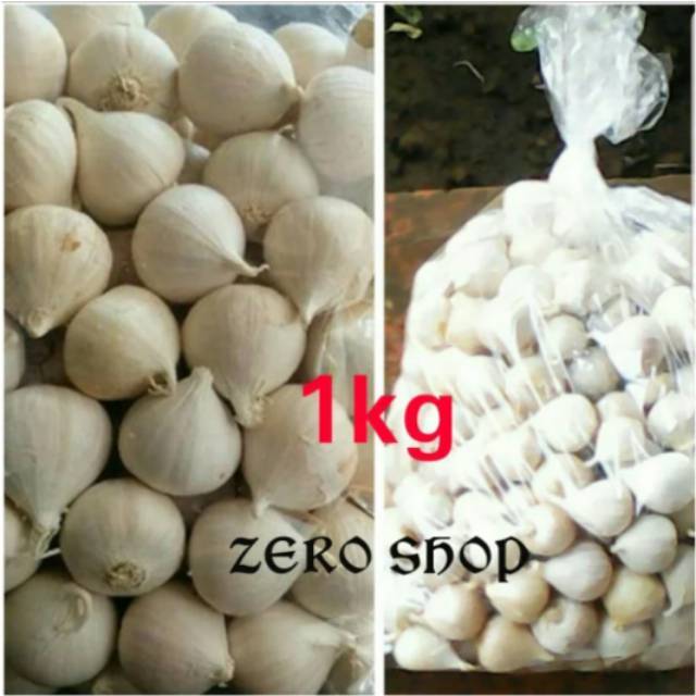 Bawang Putih Tunggal Bawang Lanang Herbal Kesehatan 1000gr Indonesia