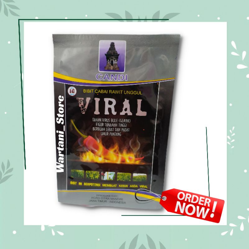 Benih Cabe Rawit Merah VIRAL Bibit Cabe Rawit Merah Unggul Terbaik