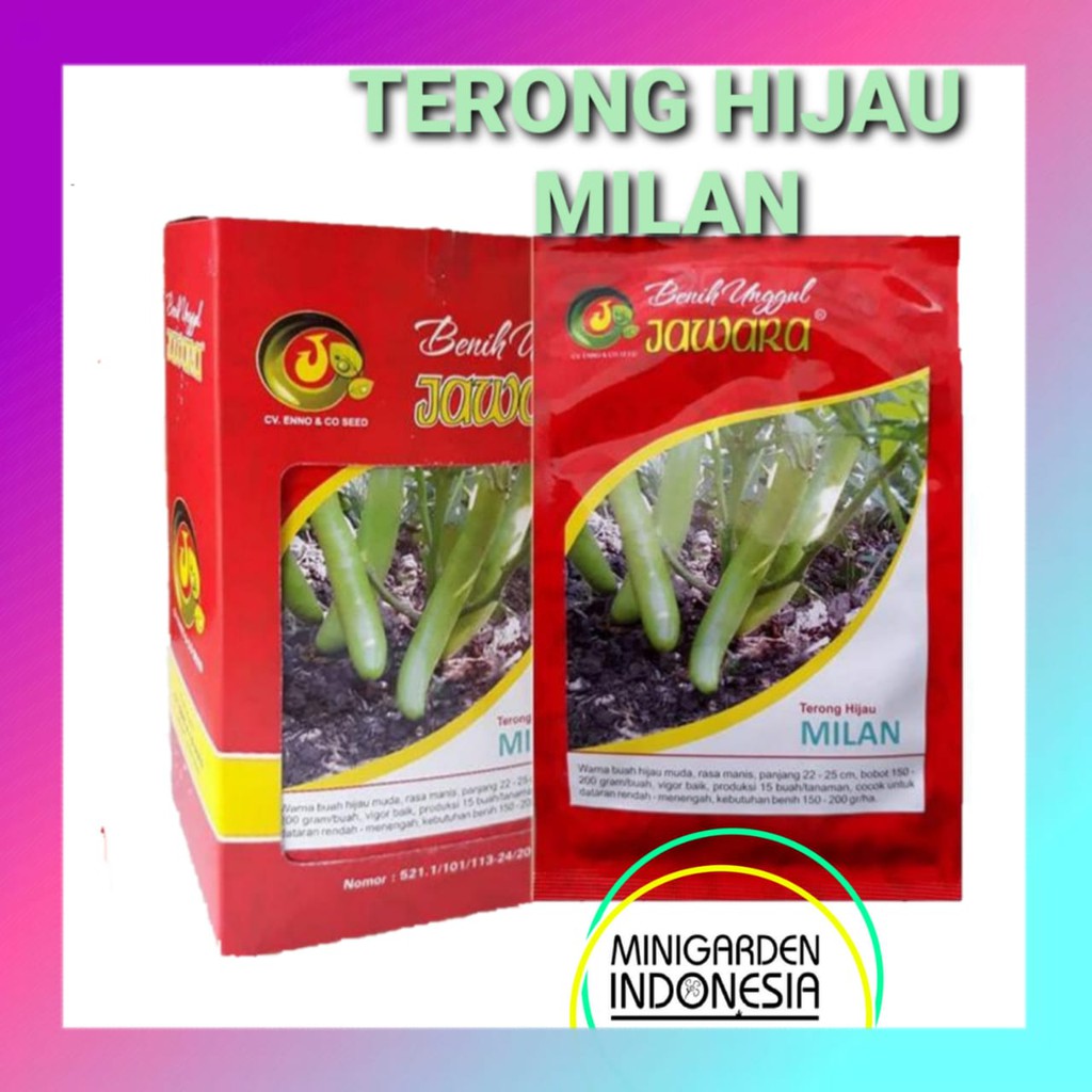 Terong Hijau MILAN PACK 10 GRAM Benih Bibit Sayuran Jawara Unggulan ±2500 BUTIR