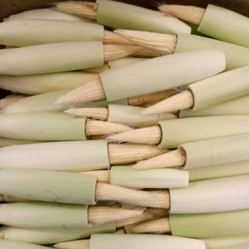 

Jagung Muda / Semi / Putren Segar 500 gram