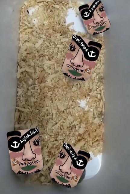 Gamis Cut Meyriska Batik Kampus