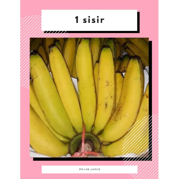 

PISANG AMBON PISANG LOKAL MANIS
