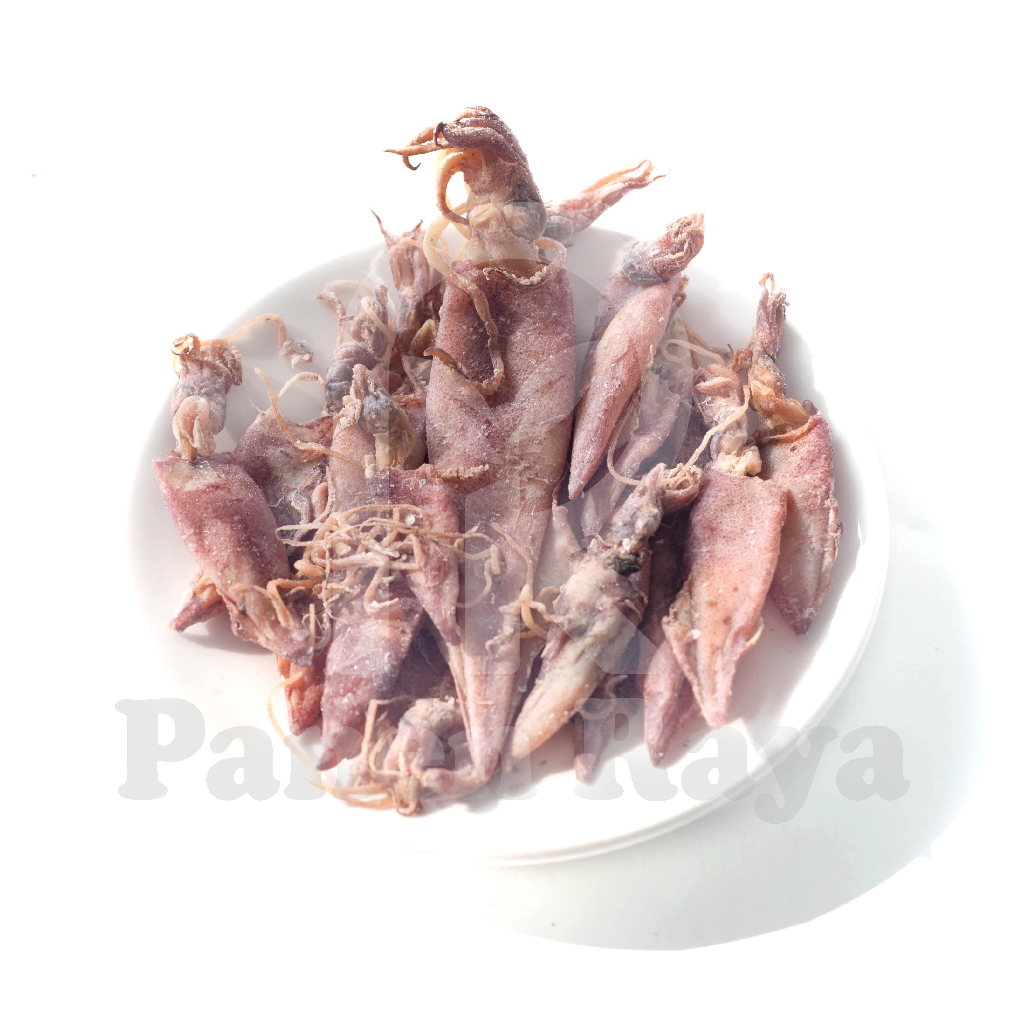 

Cumi Asin Kering Cumi Asin Mentah PR 200GR