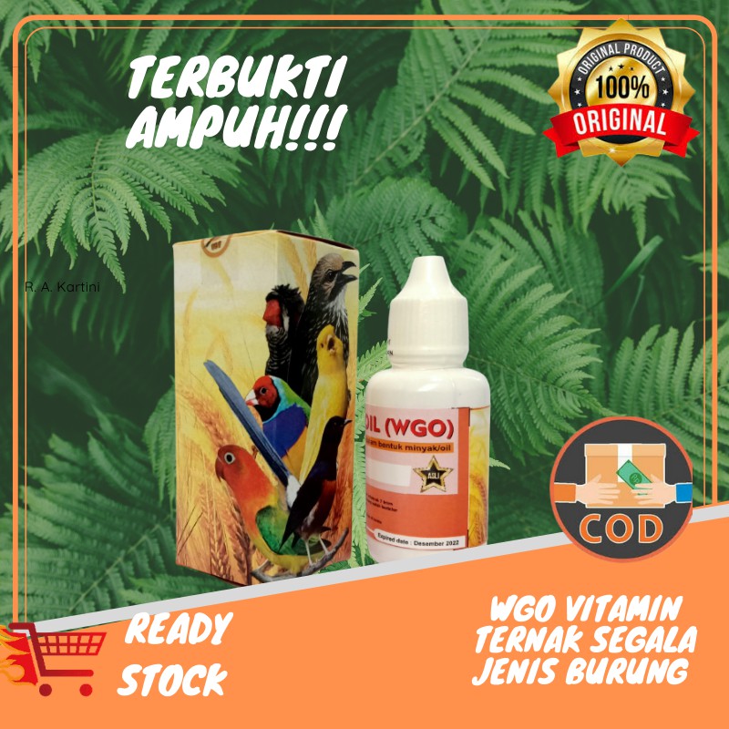 Metabolis Vitamin Burung Macet Bunyi Obat Gacor Murai Kacer Ijo Love Bird Lazada Indonesia