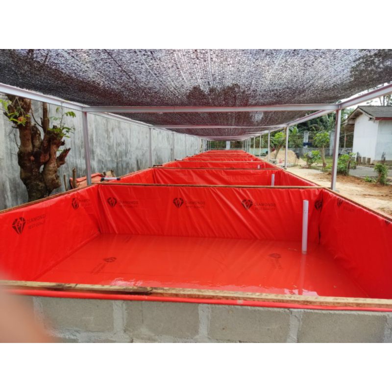 terpal kolam ikan 6x1x1m A8 & A12