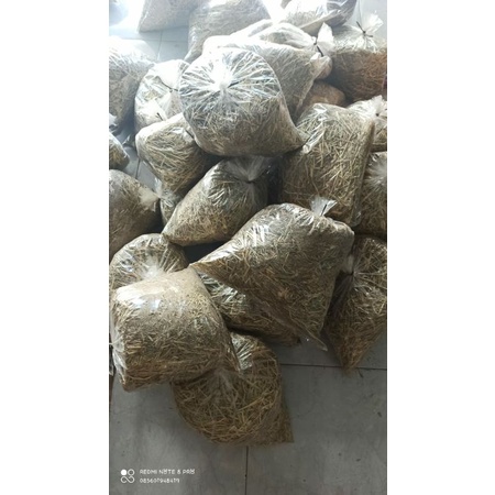 hay timonthy pakan kelinci, marmut