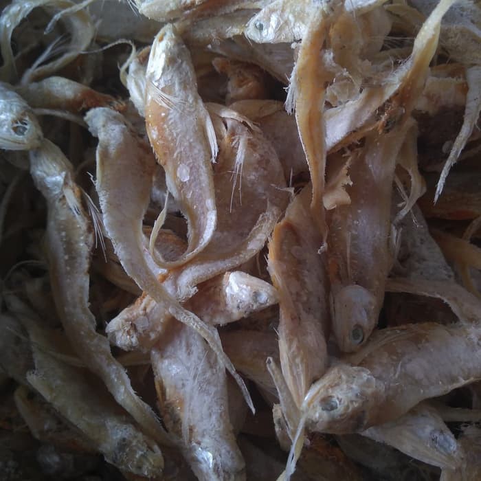 

ikan asin bulu ayam asin 500gr