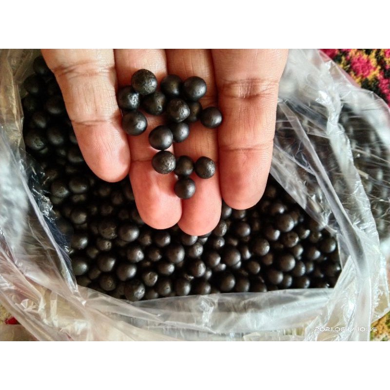 

Jamu majakani hitam dan pinang anum