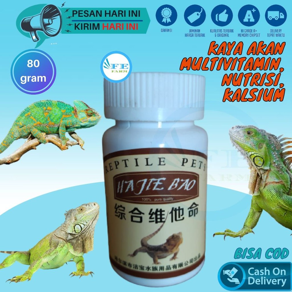 Kalsium Gecko Reptil Iguana Hewan 80gram FEFARM