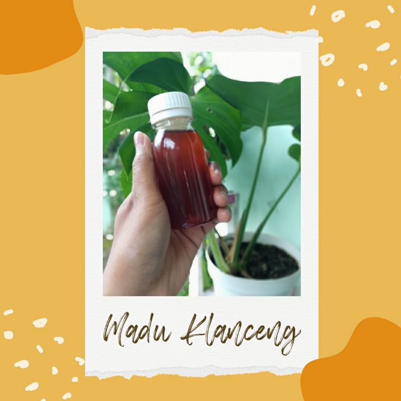 

Madu Klanceng/Trigona/Kelulut