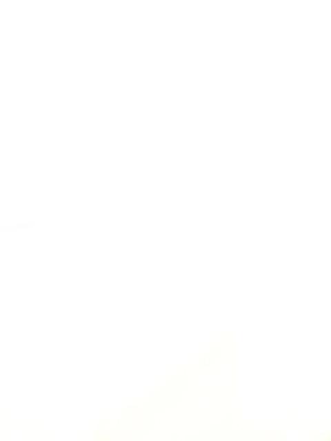 Pisau Karabit Handle Jepit Full Tang