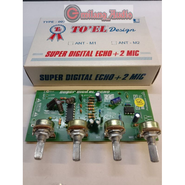 Kit echo digital 2 mic