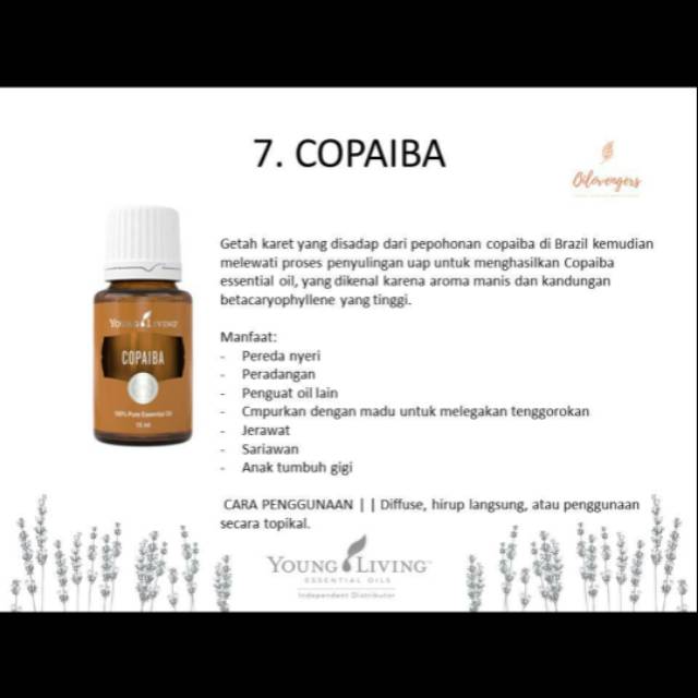 Copaiba Oil 15ml Shopee Indonesia