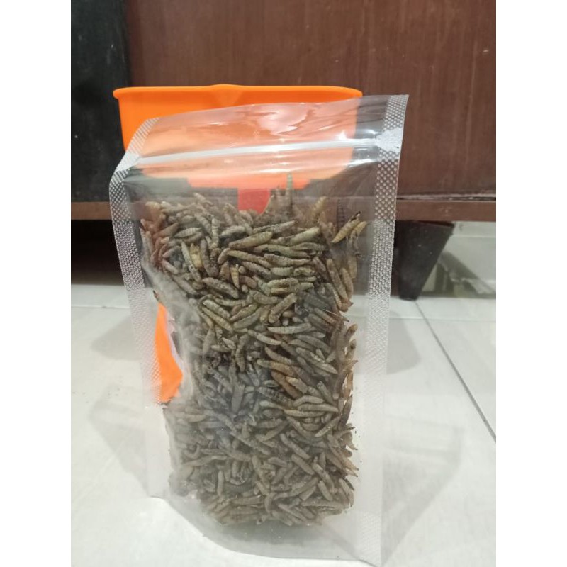 Maggot BSF Kering (Pakan Ternak 100 Gram)