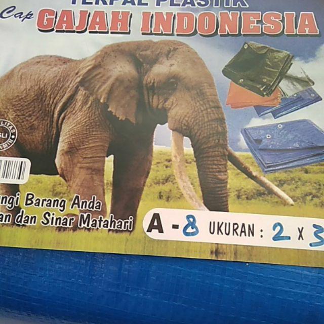 Terpal Plastik A8 Ukuran 2x3