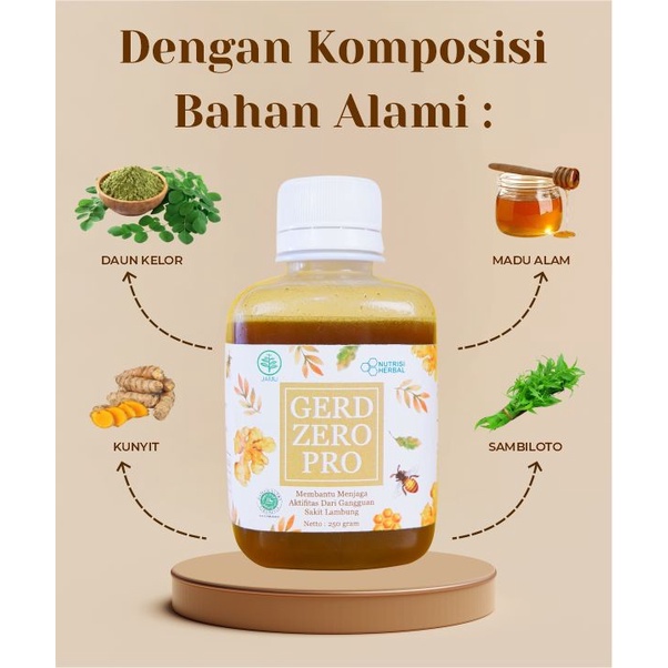 Gerd Zero Pro Asli Obat Asam Lambung Ori 100%