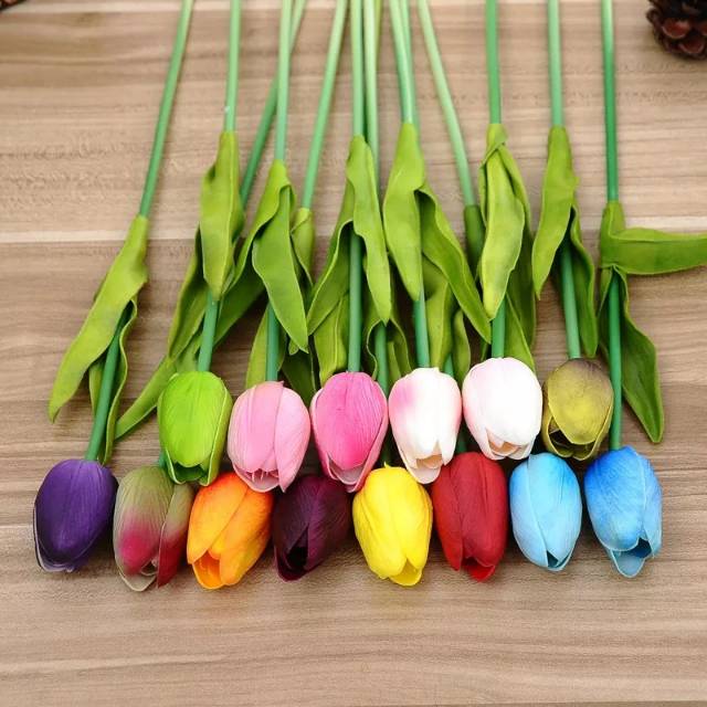 Bunga tulip besar per tangkai