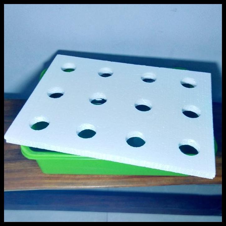 BAK HIDROPONIK + STYROFOAM 12 LUBANG