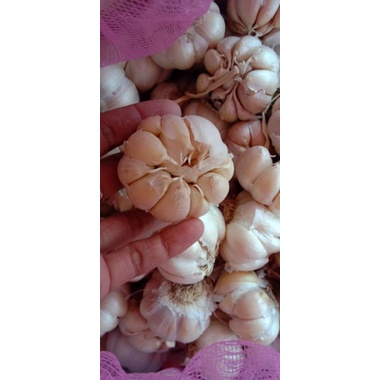 

bawang merah bawang putih