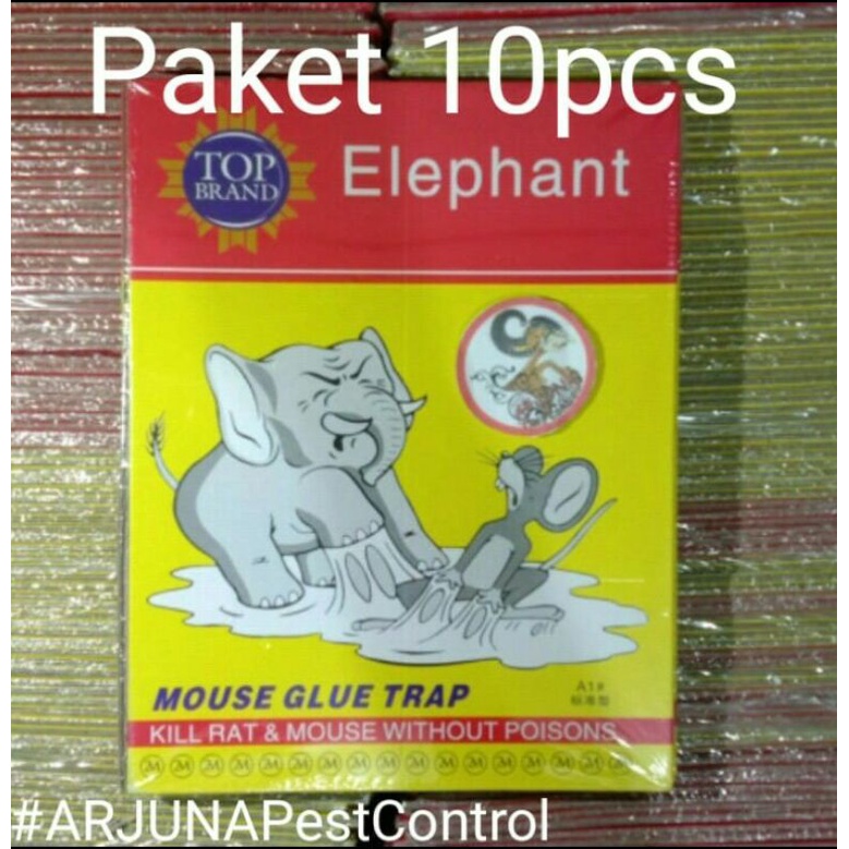 Lem Tikus Papan Import Cap Gajah Elephant Paket 10pcs