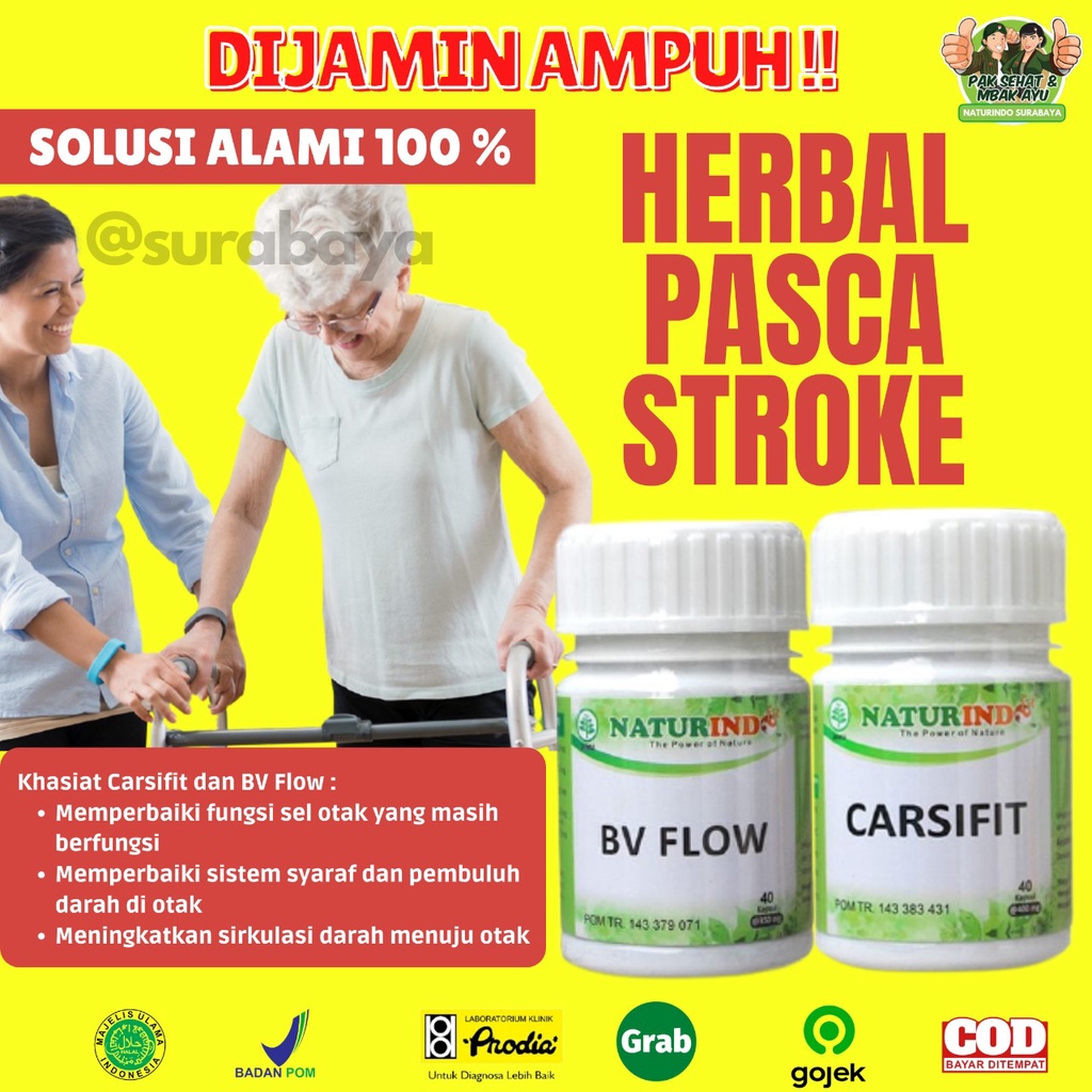 Obat Stroke Ampuh Obat Struk Stroke Ringan Strok Menahun Lumpuh Separo Sebelah obat herbal Paska stroke gejala sulit bicara kaku tangan kaki serta saraf otak Herbal Sambiloto Ampuh Jamu Herbal Strok Lumpuh Tradisional Carsifit Naturindo Surabaya 40 Kapsul-OBAT PASCA STROKE