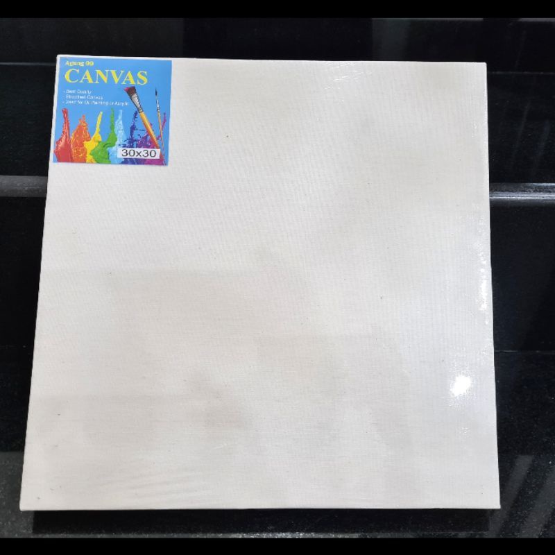 

Canvas Lukis 30 x 30 Cm JunDW