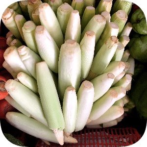 

Jagung Soleng 250 g
